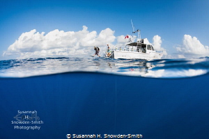 "Sunlit Dive"

A diver is in motion as he giant strides... by Susannah H. Snowden-Smith 